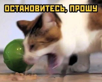 Интервью с "симпатичной" сторонницей абортов.