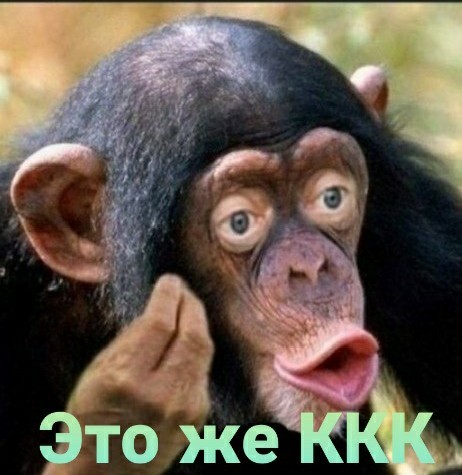 Такие цены в Сочи могут слегка шокировать неподготовленных туристов