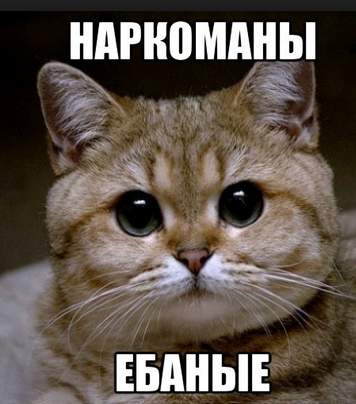 Не ожидал такого сюжета