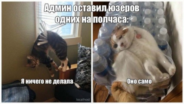 Картинки и мемы для настроения - 133