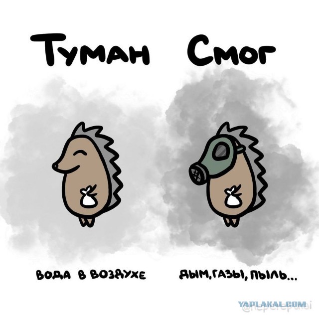Смотри, Кутузов, не перепутай... vol.2