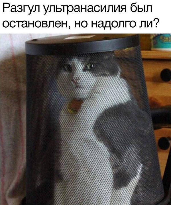 Нуштош 22.03.2023