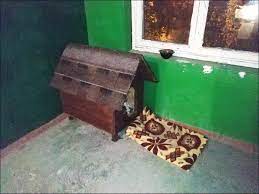 Бездомные собаки насмерть загрызли ребёнка в Оренбурге.