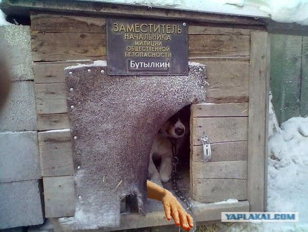 Зам.начальника