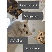Хозяйство у жениха маленькое, жену не найдет!