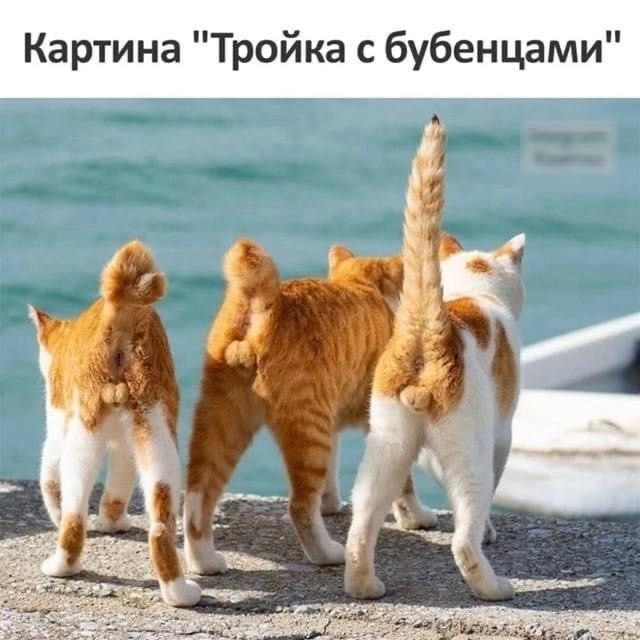 Завалялось тут случайно немного забавных картинок