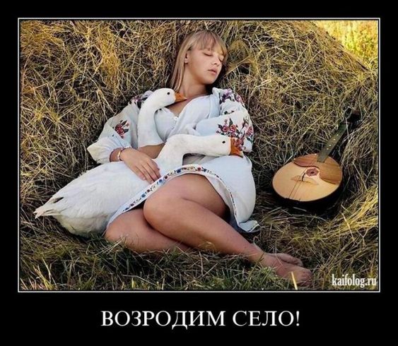 Прикольные и просто красивые картинки 15.10.2024