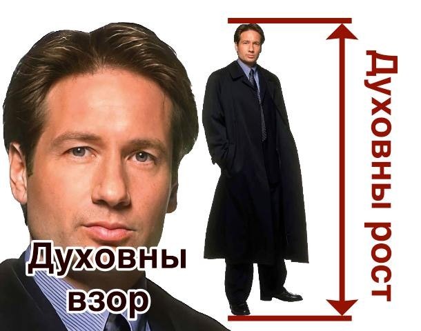 Быстрая деградация