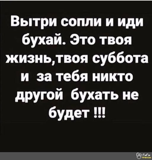 АлкоНовогодние баяны