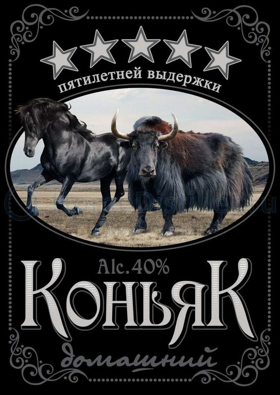 Прикольные и просто красивые картинки 10.01.2025