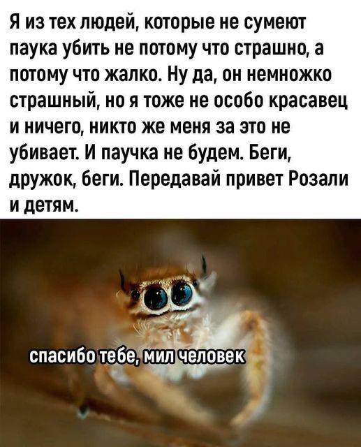 Так себе картинки 13.02.25