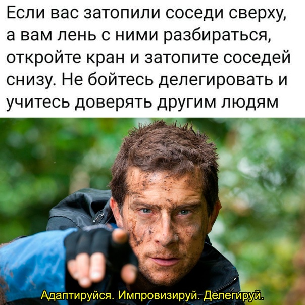 Картинки для деградации 15 (разной степени свежести)