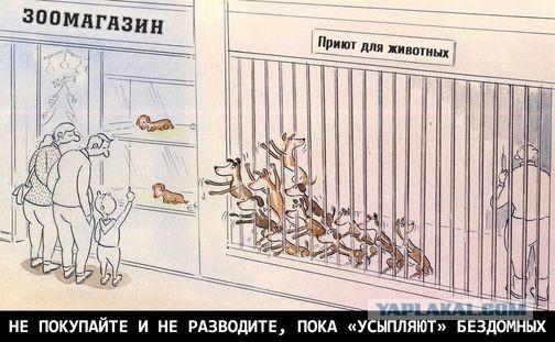 Дома ждали трое детей и кот