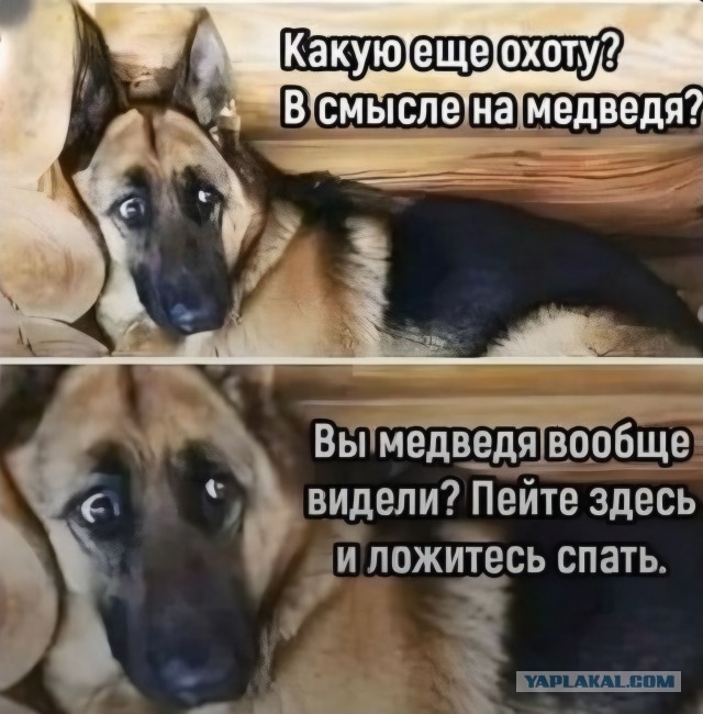 Никаких правил. Только сила. Только выживание.
