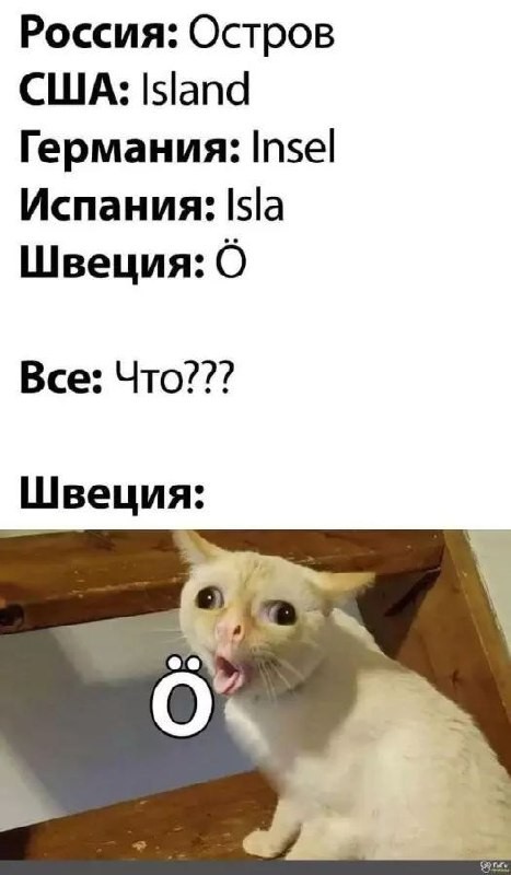 Картинки для деградации 258 ( разной степени свежести)
