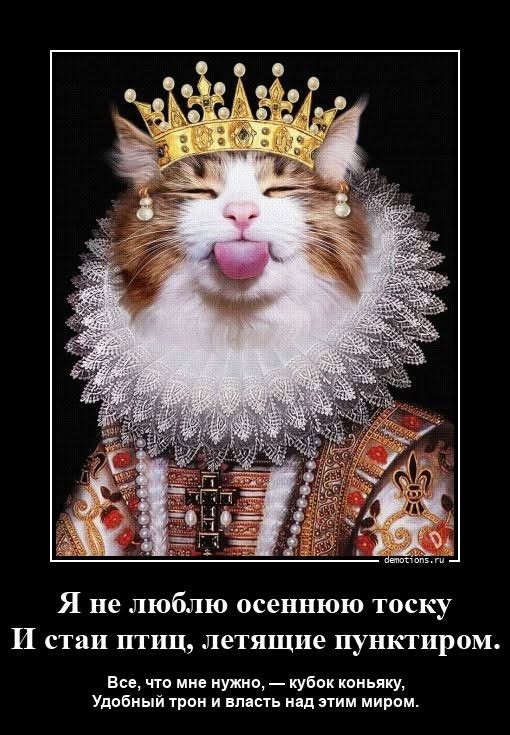 Пятничные бояны