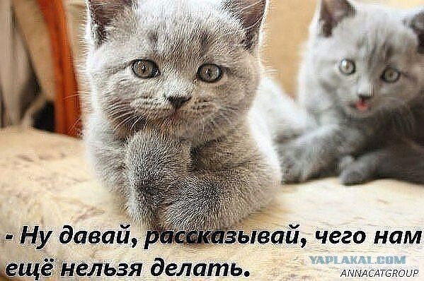 "...На том свете плохо не бывает"