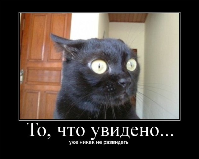 Цыган из 5 класса