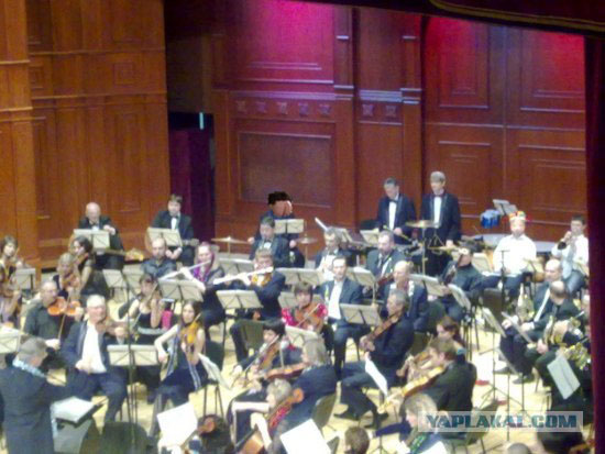 Кто убил скрипачку?