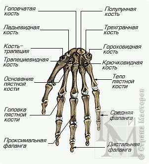 Нападение на МКАДе