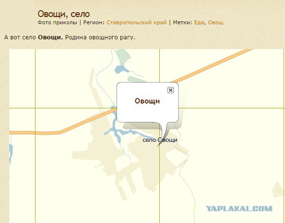 Родина овощного рагу )))
