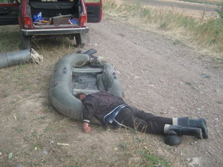 Картинки