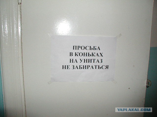 Прикольные картинки.