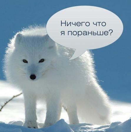 "Мы Иеговы!Отдай квартиру!"