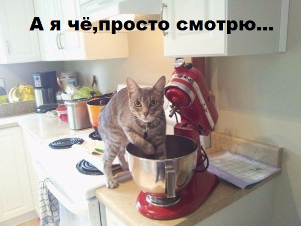 Подборка веселостей из сети
