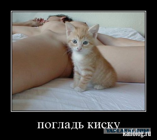Не иди никуда - отдохни