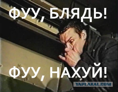Как я снимал квартиру