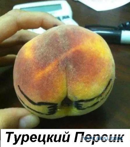 Эрдоган. Такой Эрдоган