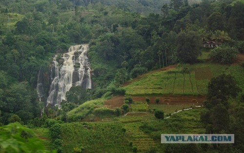 Самостоятельное путешествие в Шри-Ланку