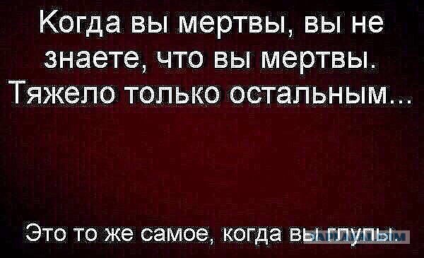 Общение с хабалками на дороге...как быть?