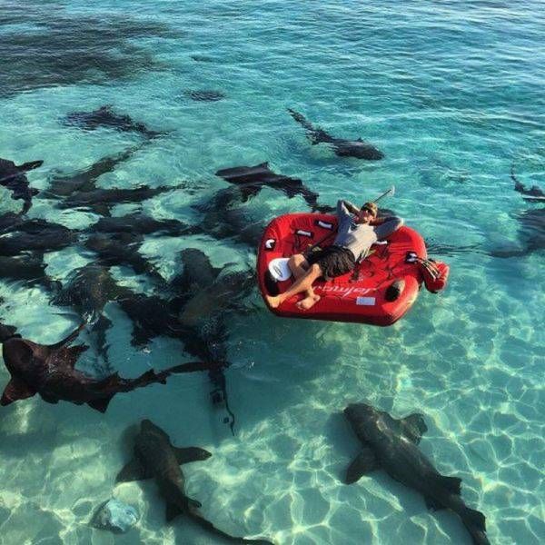 Подборка картинок на среду