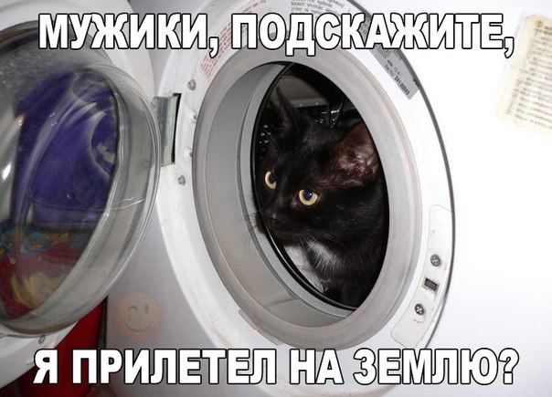 Мохнатые беспредельщики