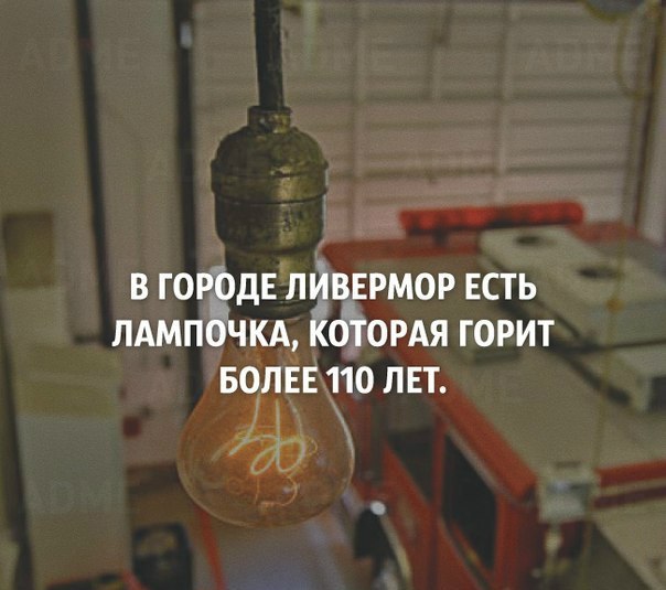 Интересные и веселые картинки