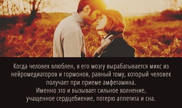 Интересные и веселые картинки