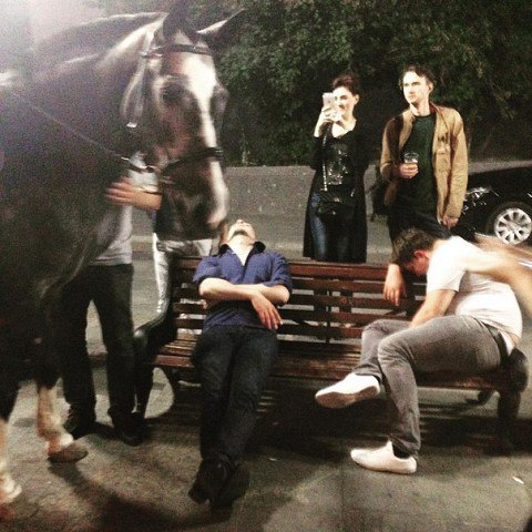 Ужасы и приколы из соцсетей 18+