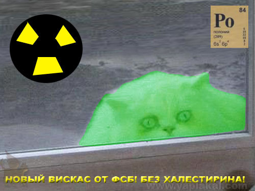 Барсик и Кеша (жесть)