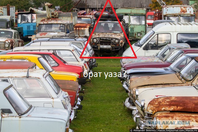 Убежище для бездомных машин
