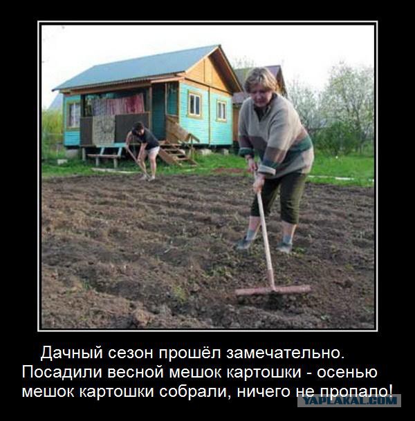 Как “профукать” миллион…