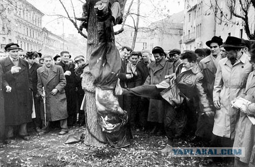 Разоблачение мифов о венгерском мятеже 1956 г.