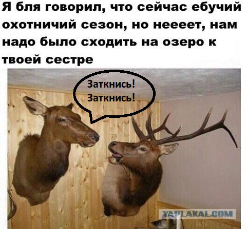 Картинки. 50 шт.