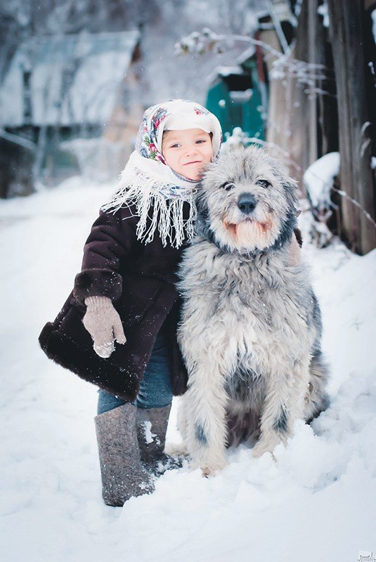 Самые смешные животные