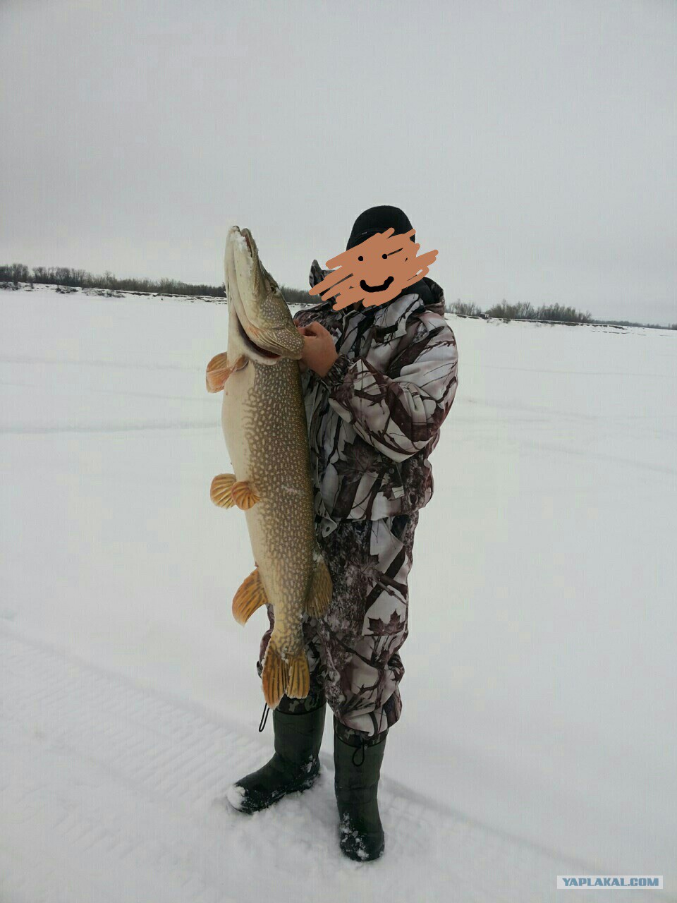 рыбалка на иртыше ханты мансийск. каменное хмао. щуки рыбалка в хмао. поселок каменное хмао. хмао каменное рыбалка.