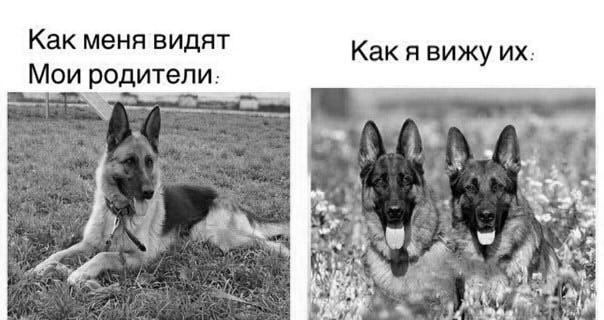 Странный альтернативный юмор