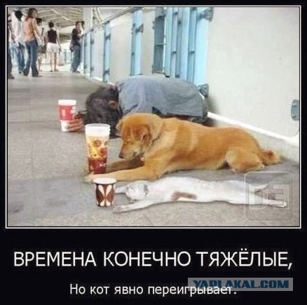 И еще немного картинок...