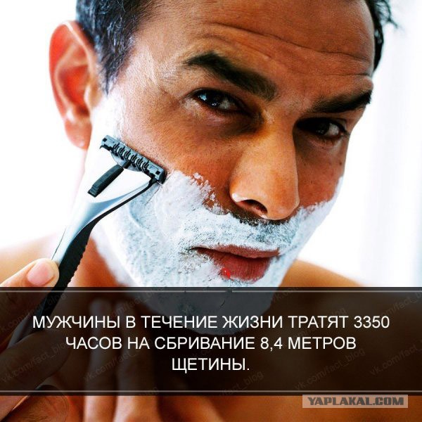 Почему русскому никак нельзя без бороды