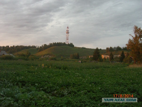 Деревня Девкино. Боровичский район Новгородской области. Фотоподборка.